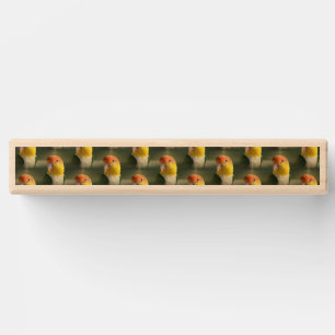 Cute White Bellied Caique Parrot Topple Tower