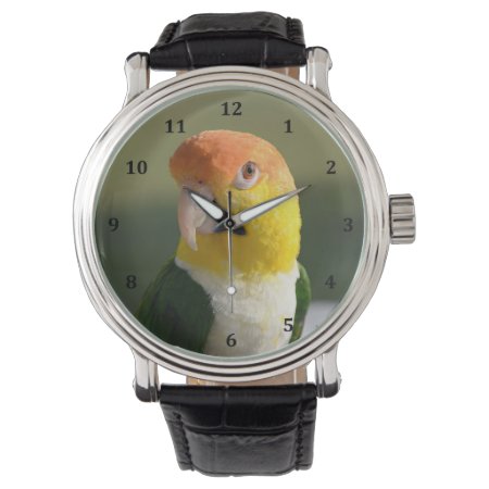 Cute White Bellied Caique Parrot Watch