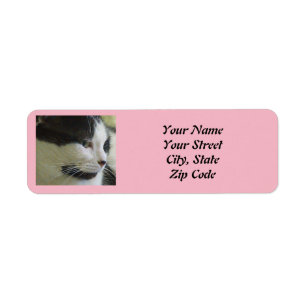 Cute White Black Cat Photo Label