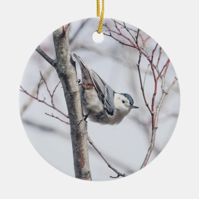 Cute White-Breasted Nuthatch Ornament (Front)