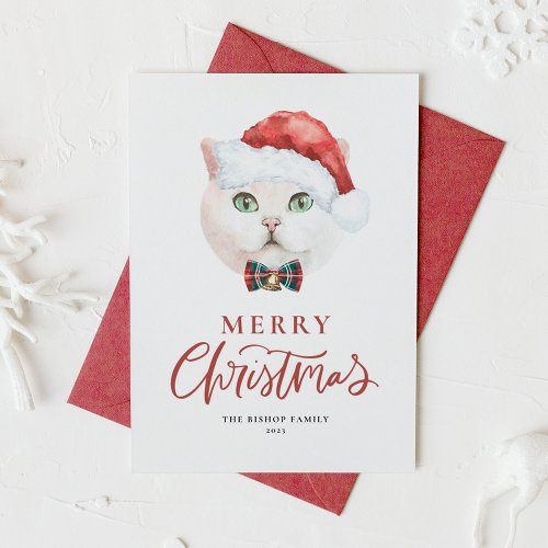 Cute White British Shorthair Cat Merry Christmas Holiday Card