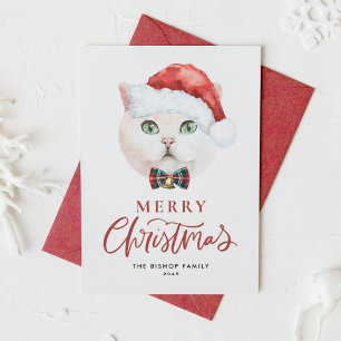 Cute White British Shorthair Cat Santa Christmas Holiday Card