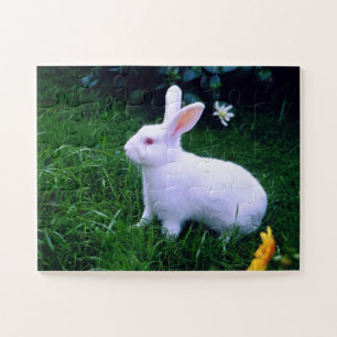 Cute white bunny animal jigsaw puzzle