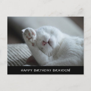 Cute White Cat Birthday Postcard