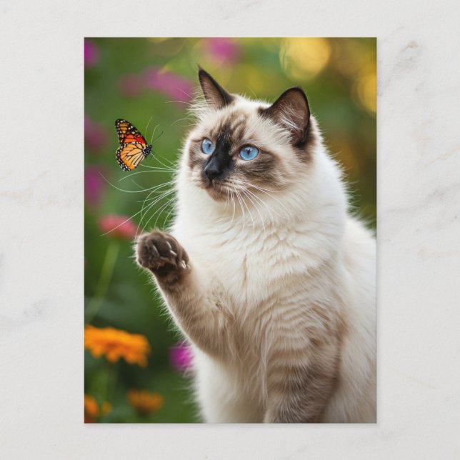 Cute White Cat Butterfly Blue Eyes Postcard (Front)