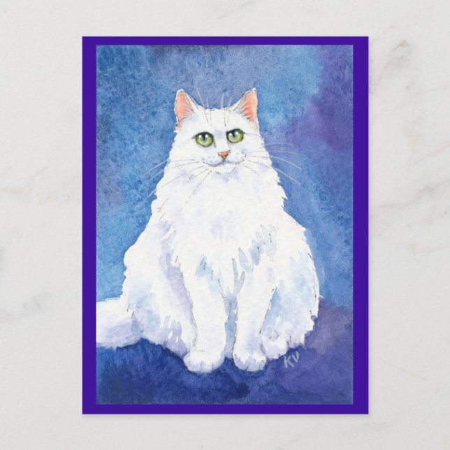 Cute white cat or kitten postcard (Front)