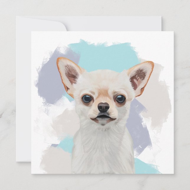 Cute White Chihuahua Dog Abstract Blue Background (Front)