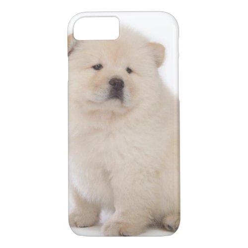 cute white chow chow puppy pup dog iPhone 87 case