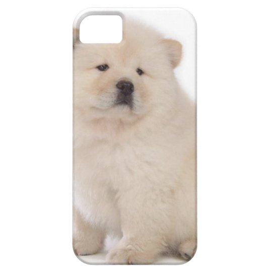 Cute White Chow Chow Puppy Pup Dog Case Mate Iphone Case Zazzle Com