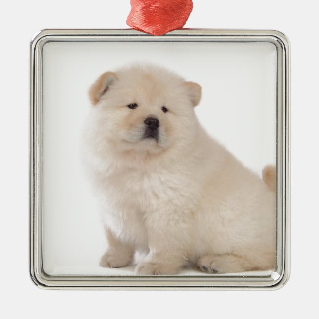 cute white chow chow puppy pup dog metal ornament (Front)