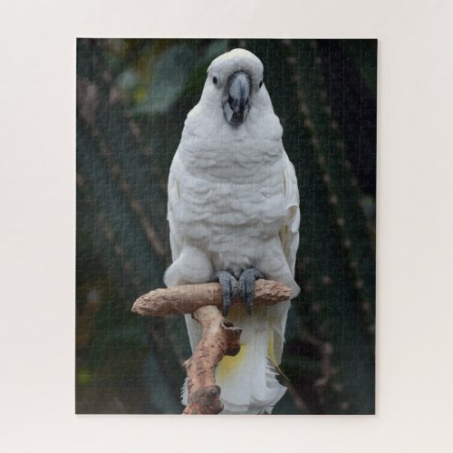 Cute white cockatoo           jigsaw puzzle