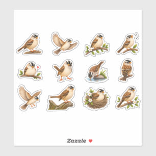 Cute White Crowned Sparrow Nest Branch Aesthetics Sticker
