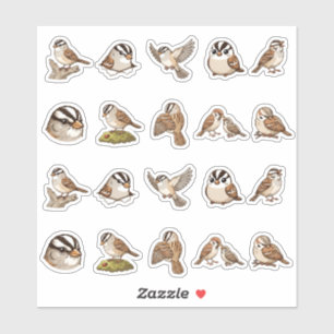 Cute White Crowned Sparrow Songbird Aesthetics Sticker