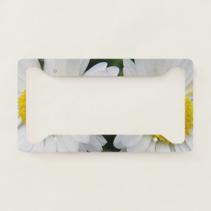 Cute, white daisy license plate frame