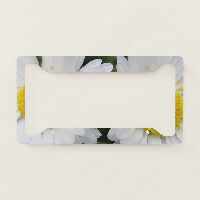 Cute, white daisy license plate frame (Front)