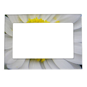 Cute, white daisy magnetic frame