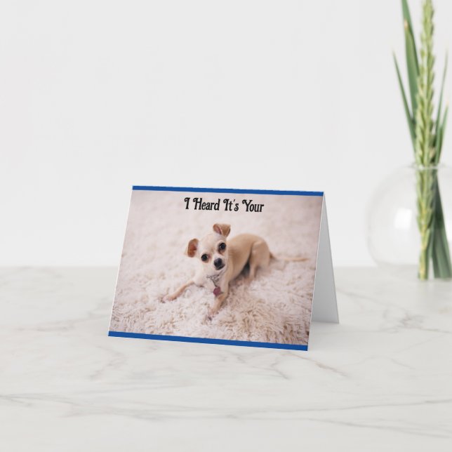 Cute White Dog Birthday Greeting Card (Front)