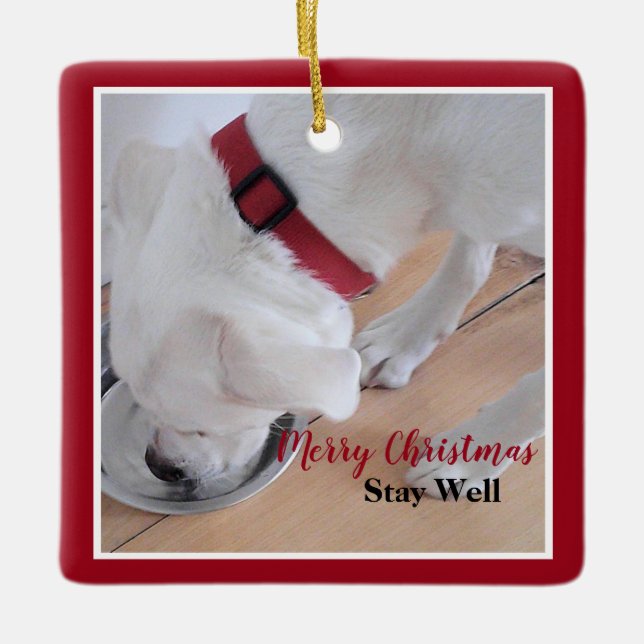 Cute White Dog Drinking Water Red Christmas Square Ceramic Ornament (Front)