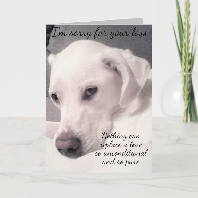 Cute White Dog Gray Loss of Pet Sympathy Card (Front)