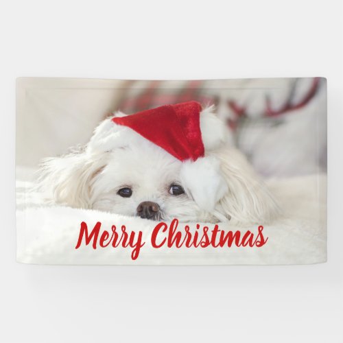 Cute White Dog in a Red Christmas Hat Banner
