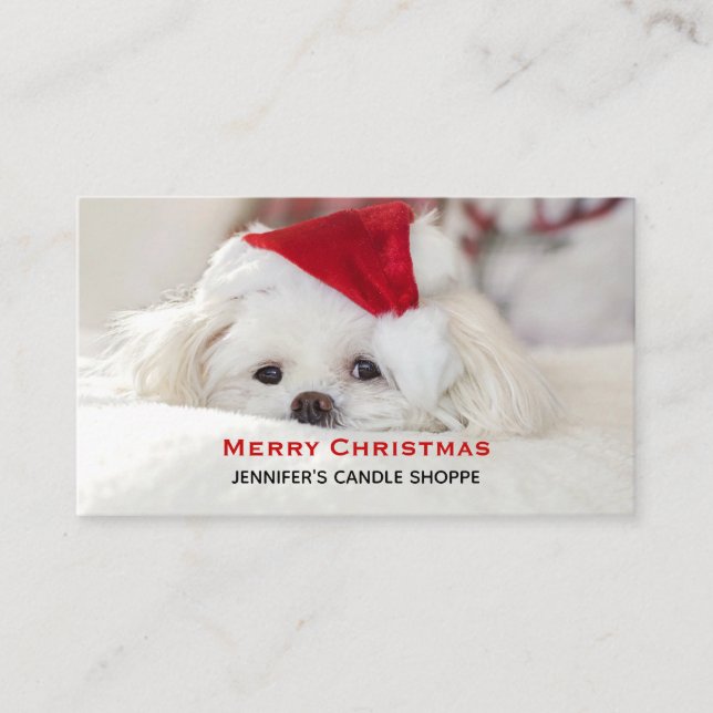Cute White Dog in a Red Christmas Hat Business Card (Front)