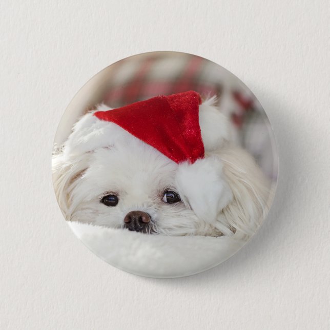 Cute White Dog in a Red Christmas Hat Button (Front)