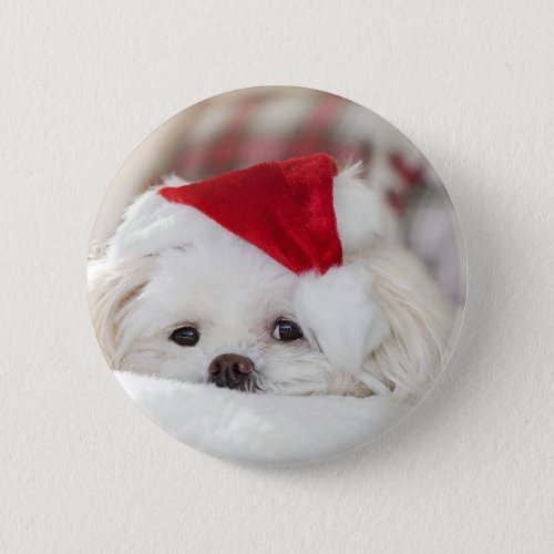 Cute White Dog in a Red Christmas Hat Button