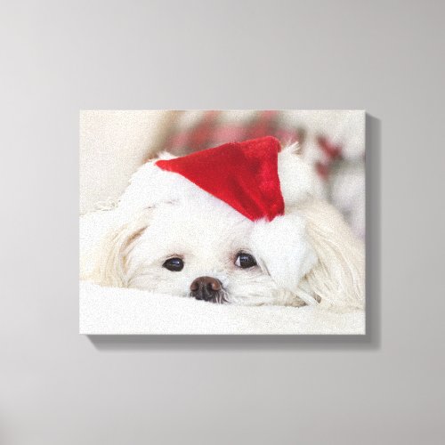 Cute White Dog in a Red Christmas Hat Canvas Print