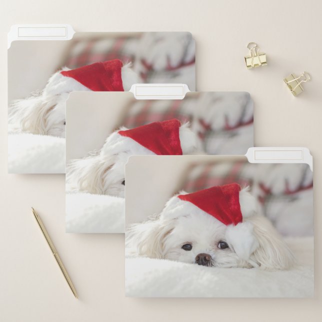 Cute White Dog in a Red Christmas Hat File Folder (Set)