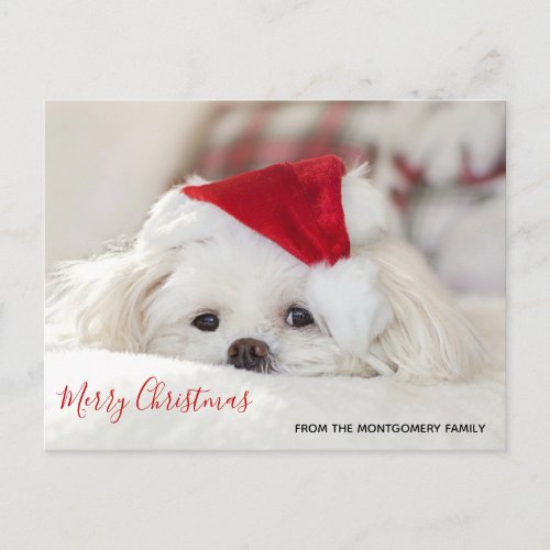 Cute White Dog in a Red Christmas Hat Holiday Postcard