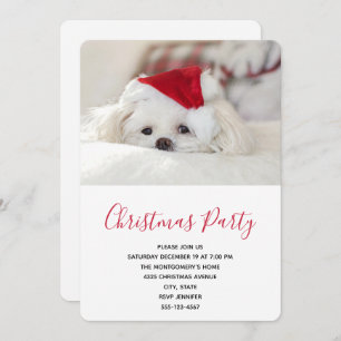 Cute White Dog in a Red Christmas Hat Invitation