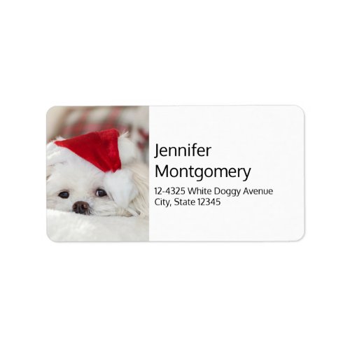 Cute White Dog in a Red Christmas Hat Label