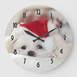 Cute White Dog in a Red Christmas Hat Large Clock