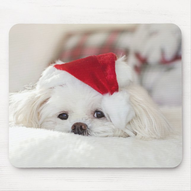 Cute White Dog in a Red Christmas Hat Mouse Pad (Front)