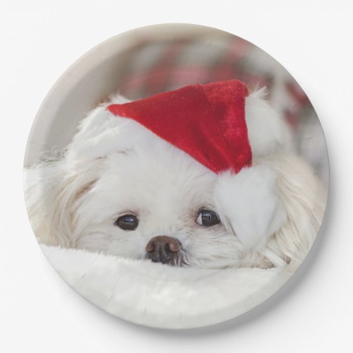 Cute White Dog in a Red Christmas Hat Paper Plates