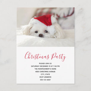 Cute White Dog in a Red Christmas Hat Party Invitation Postcard