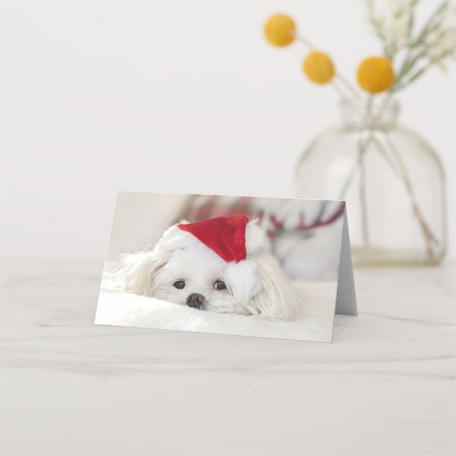 Cute White Dog in a Red Christmas Hat Place Card (Front)