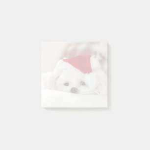 Cute White Dog in a Red Christmas Hat Post-it Notes