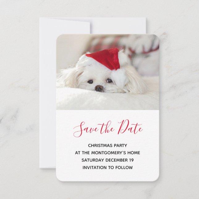 Cute White Dog in a Red Christmas Hat Save The Date (Front)