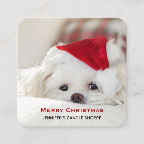 Cute White Dog in a Red Christmas Hat Square Business Card