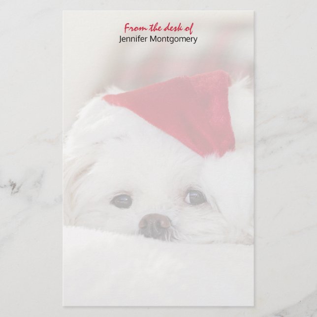 Cute White Dog in a Red Christmas Hat Stationery (Front)