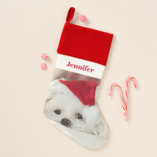 Cute White Dog in a Red Christmas Hat Stocking