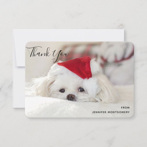 Cute White Dog in a Red Christmas Hat Thank You Card