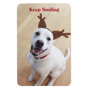 Cute White Dog Keep Smiling Encouraging Christmas  Magnet