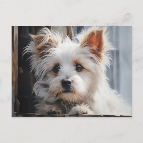 Cute White Dog Portrait Postcard