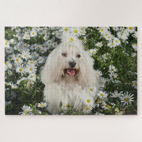 Cute White Dog Sitting Spring White Flower Garden Jigsaw Puzzle