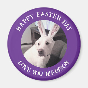 Cute White Dog Wearing Easter Bunny Ears Purple Magnet