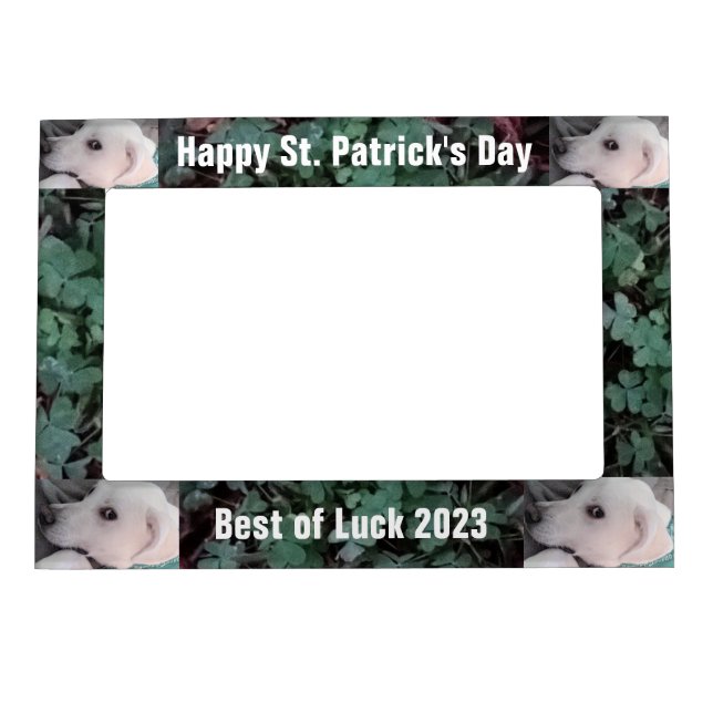 Cute White Dog Wearing Green Scarf Shamrock Clover Magnetic Frame (Front)