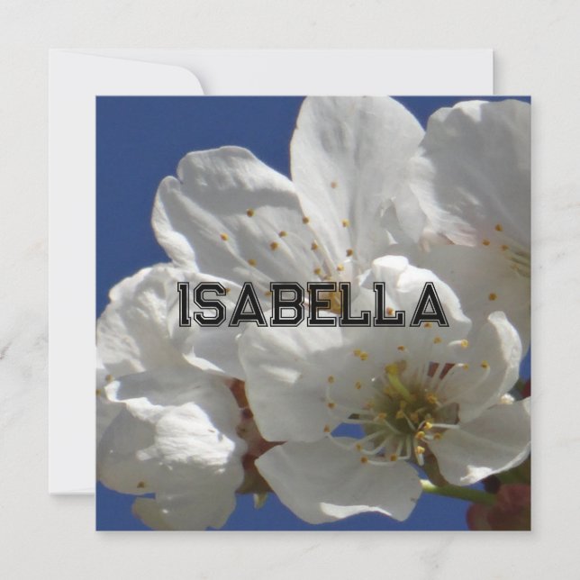 Cute White Flowers Folded Greeting Card (Front)