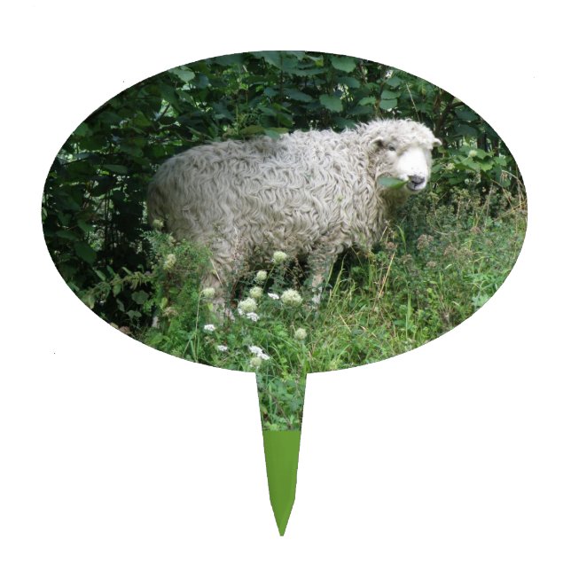 Cute White Fluffy Sheep Eating Cake Pick (Front)